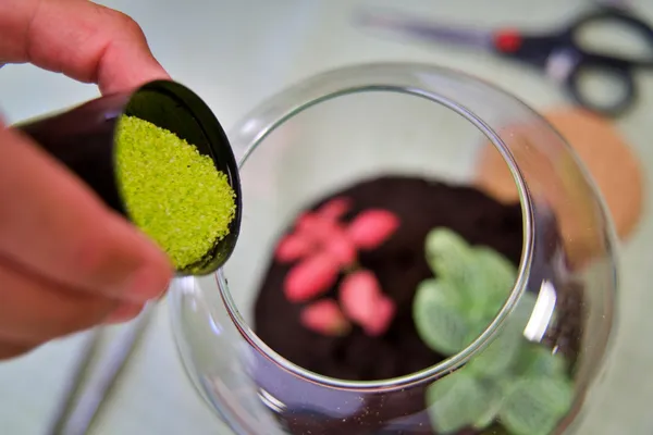 Réalisez votre terrarium avec Cécile - Image n°2 - Wecandoo