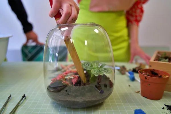 Réalisez votre terrarium avec Cécile - Image n°3 - Wecandoo