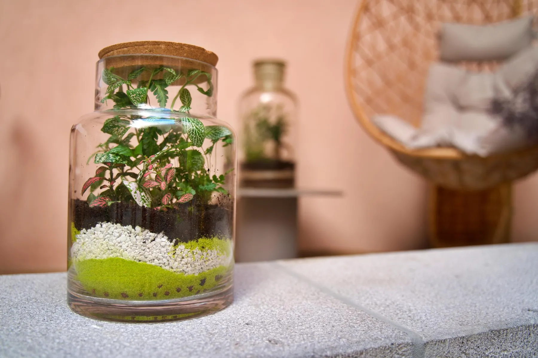 Réalisez votre terrarium avec Cécile - Image n°1 - Wecandoo