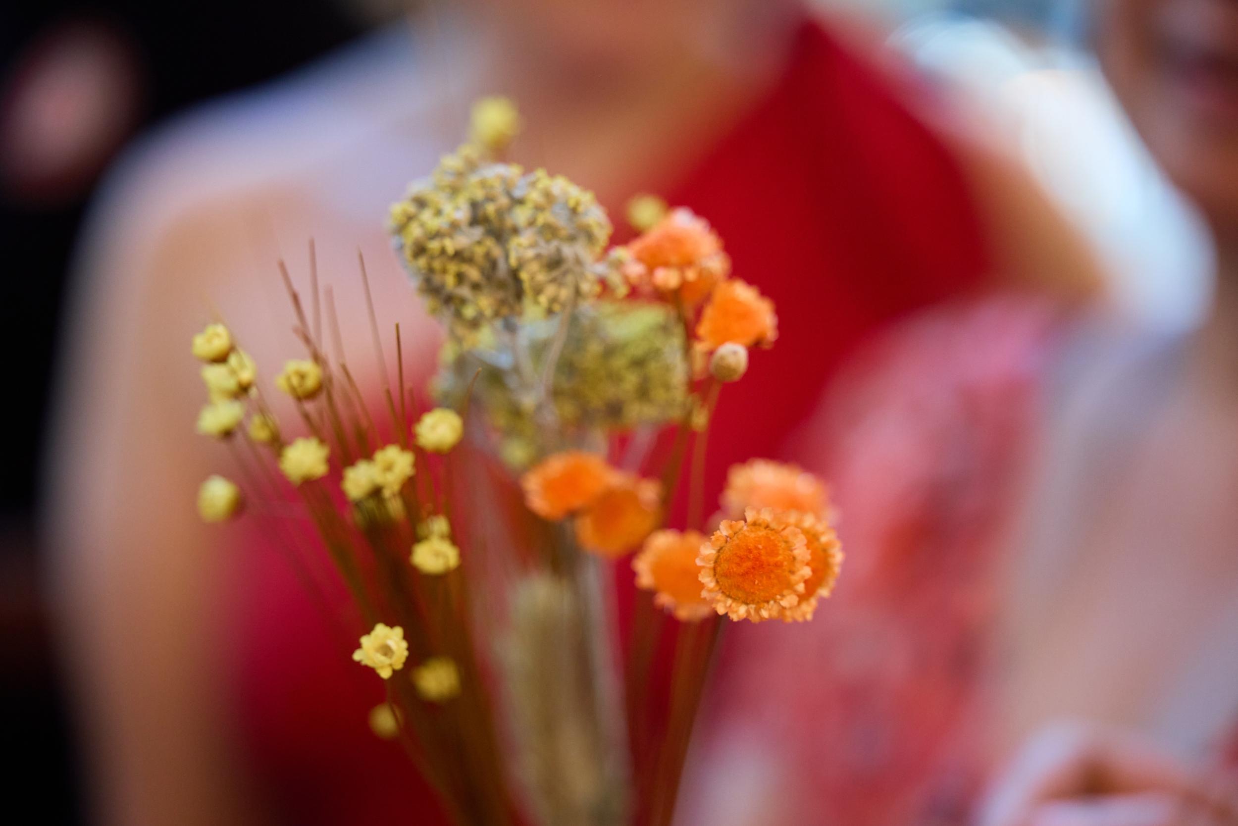 Réalisez votre couronne de fleurs séchées avec Elizabeta - Image n°6 - Wecandoo