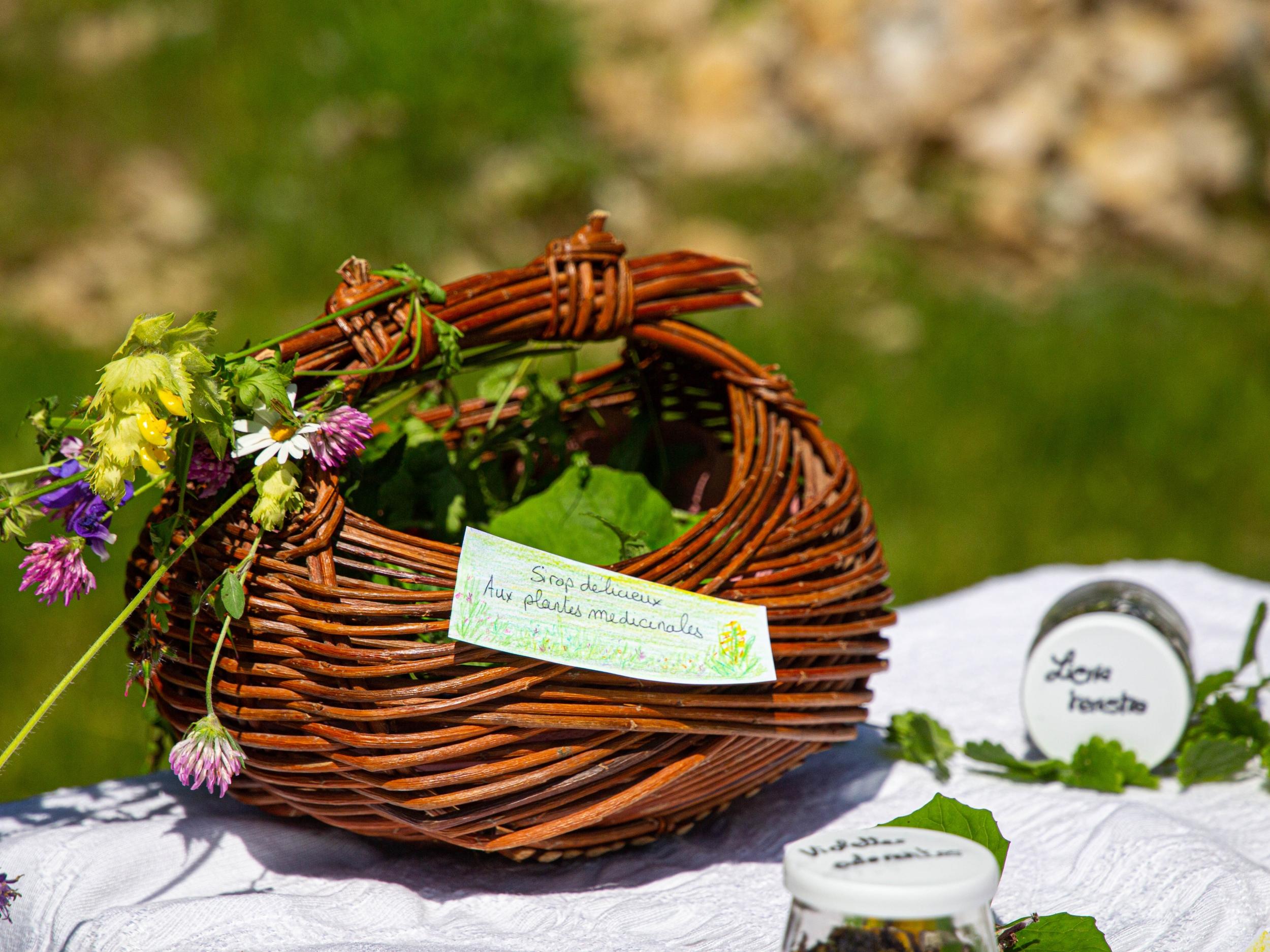 Cueillez et transformez des plantes médicinales en sirop au cœur d'un alpage en Chartreuse avec Marilyne - Image n°10 - Wecandoo
