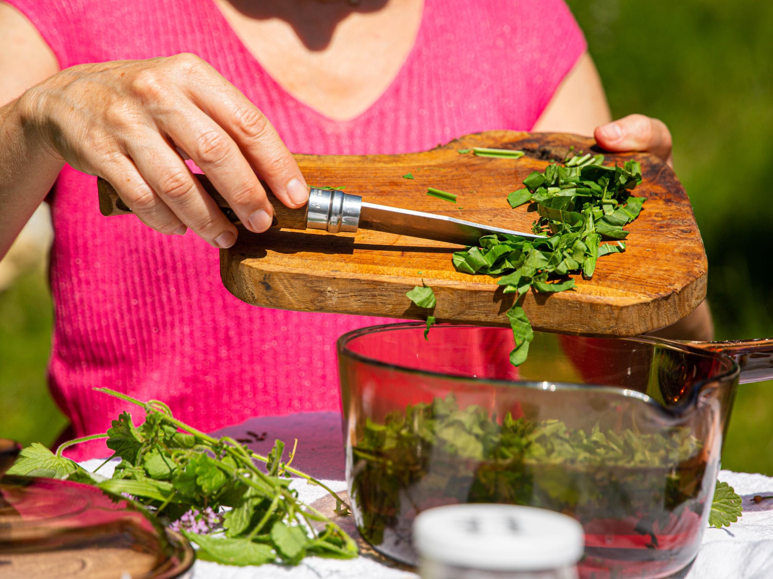 Cueillez et transformez des plantes médicinales en sirop au cœur d'un alpage en Chartreuse avec Marilyne - Image n°3 - Wecandoo