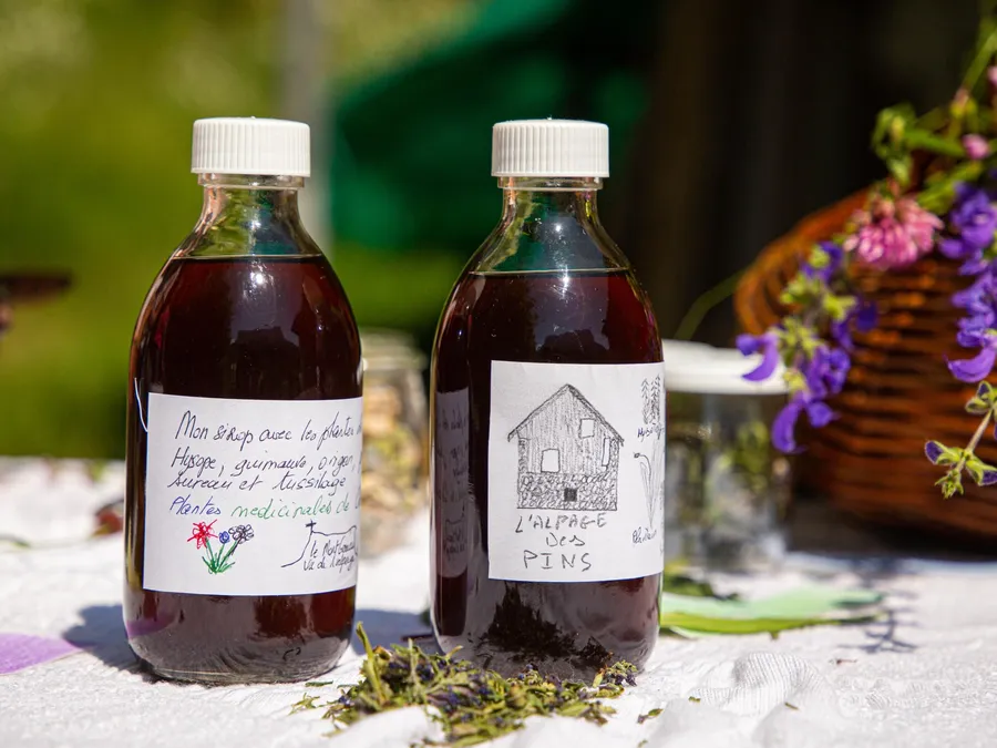 Cueillez et transformez des plantes médicinales en sirop au cœur d'un alpage en Chartreuse avec Marilyne - Image n°1 - Wecandoo