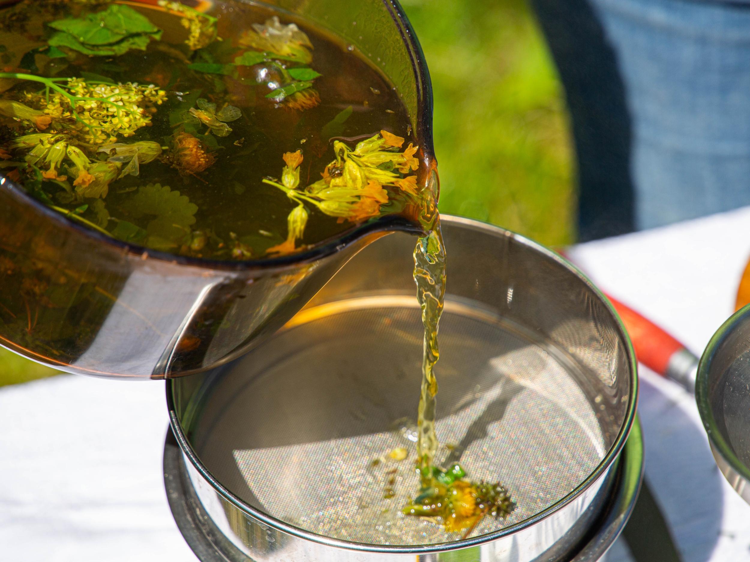 Cueillez et transformez des plantes médicinales en sirop au cœur d'un alpage en Chartreuse avec Marilyne - Image n°4 - Wecandoo