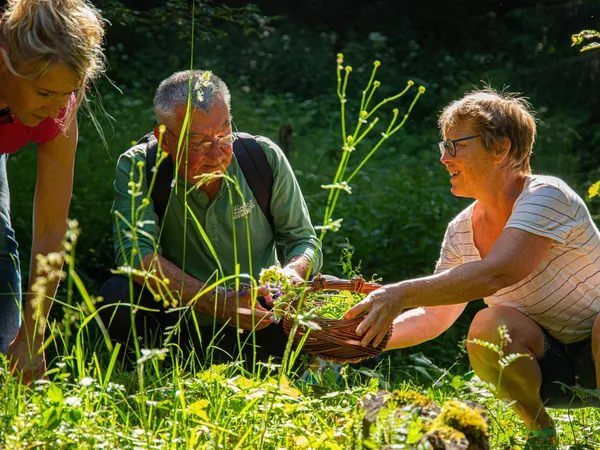 Cueillez et transformez des plantes médicinales en sirop au cœur d'un alpage en Chartreuse avec Marilyne - Image n°2 - Wecandoo