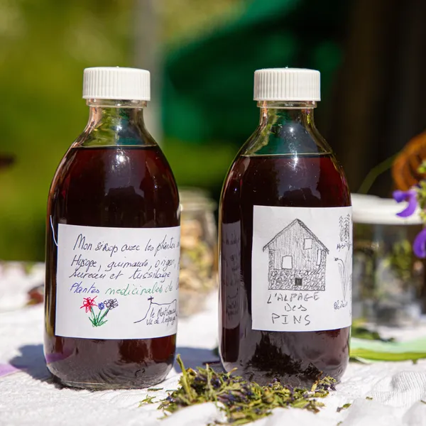 Cueillez et transformez des plantes médicinales à Chambéry
