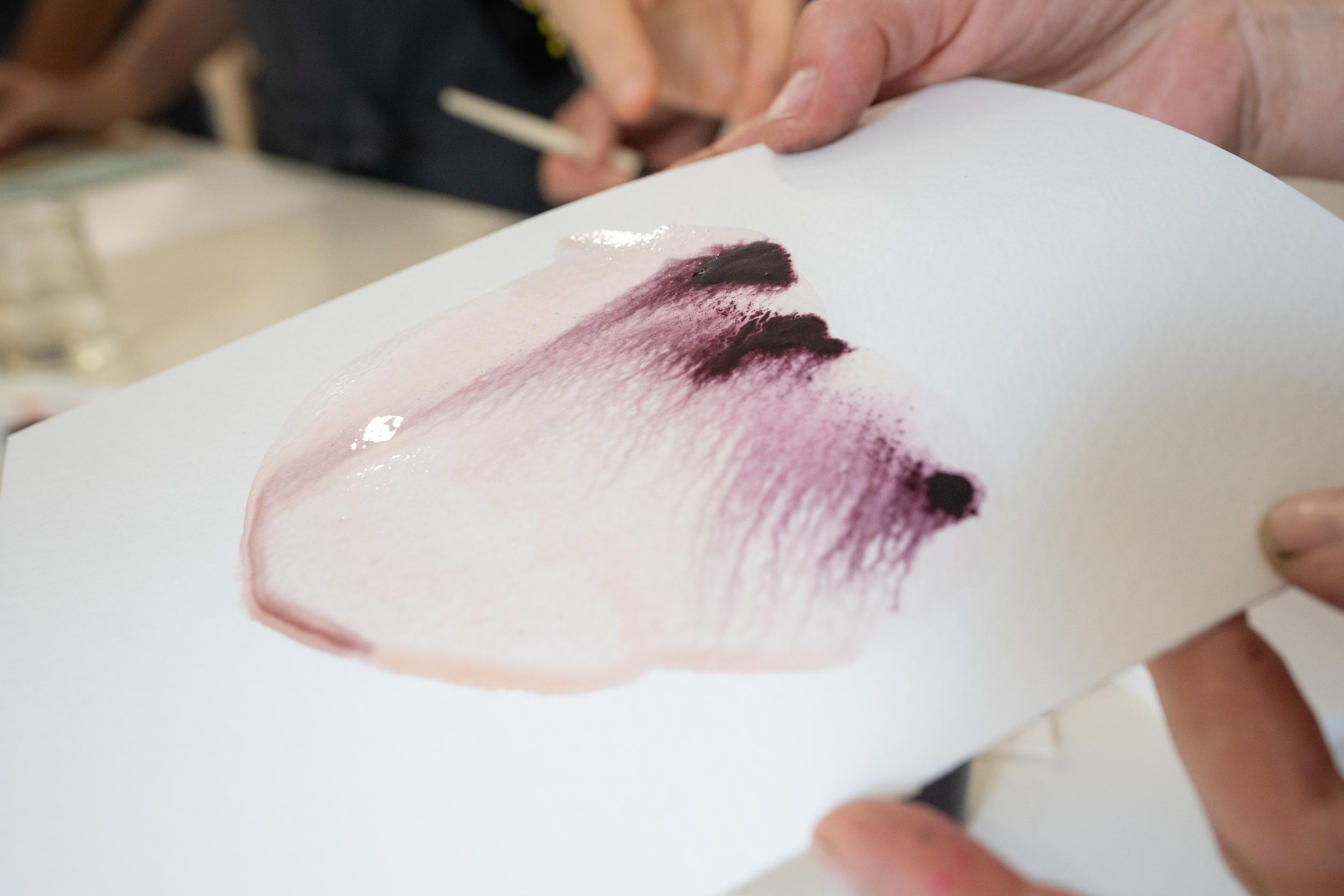 Fabriquez vos encres aquarelles végétales au fil des saisons avec Sandrine - Image n°8 - Wecandoo