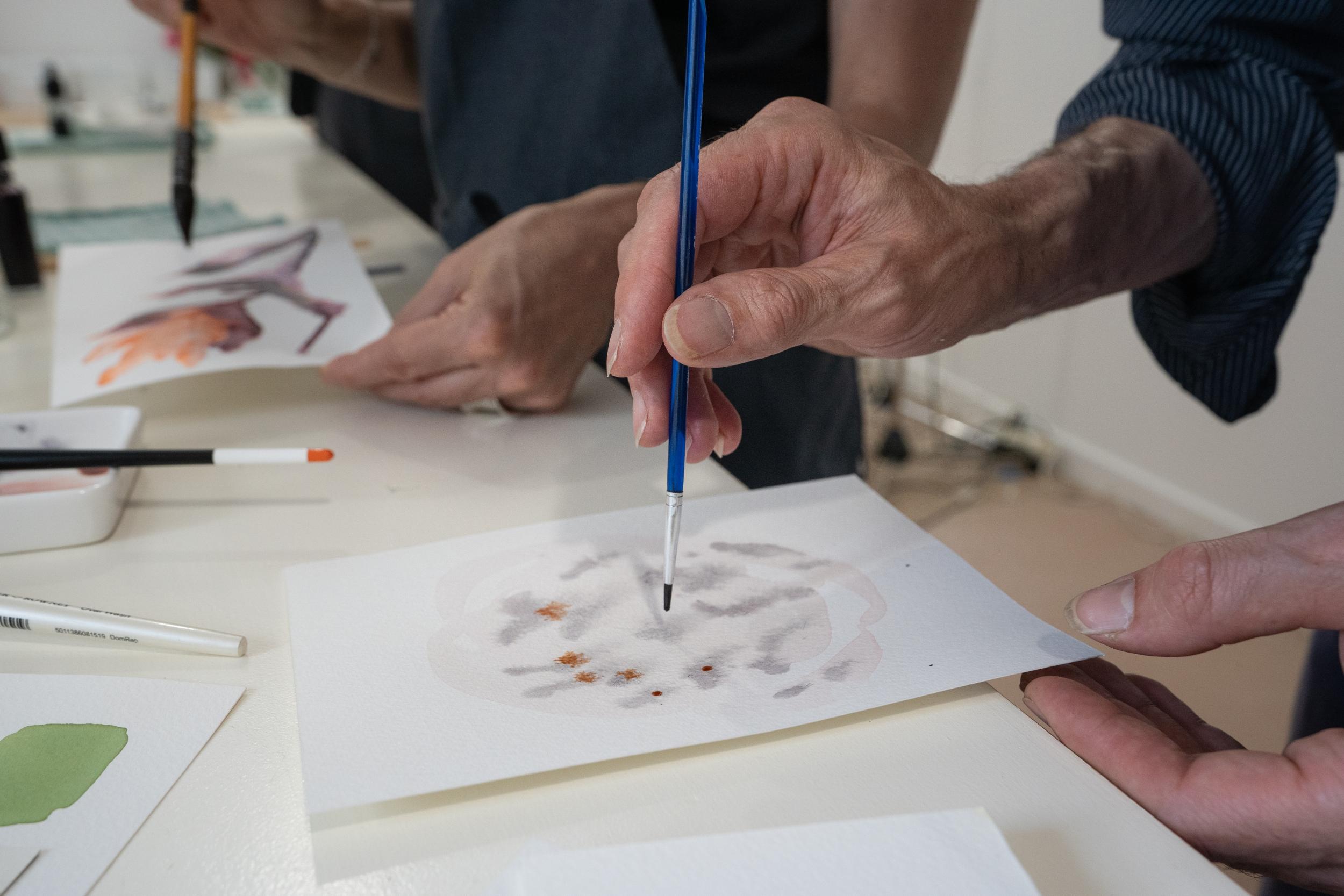 Fabriquez vos encres aquarelles végétales au fil des saisons avec Sandrine - Image n°10 - Wecandoo