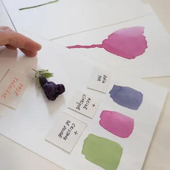Fabriquez vos encres aquarelles végétales