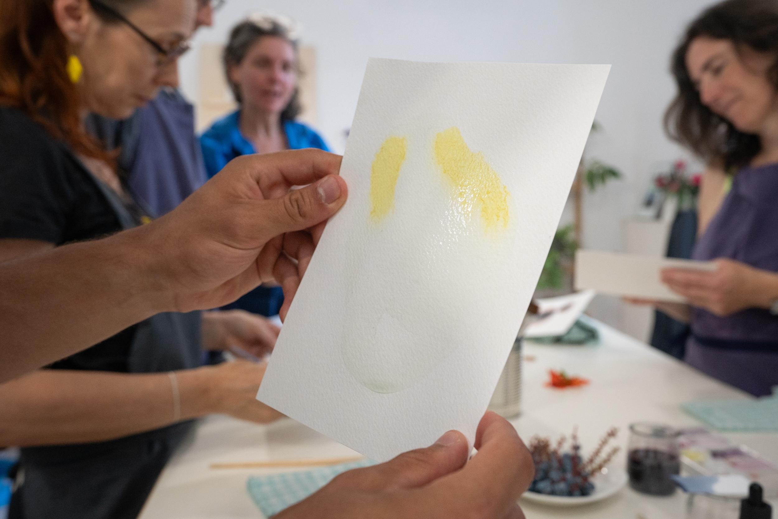 Fabriquez vos encres aquarelles végétales au fil des saisons en duo avec votre enfant accompagnés par Sandrine - Image n°9 - Wecandoo