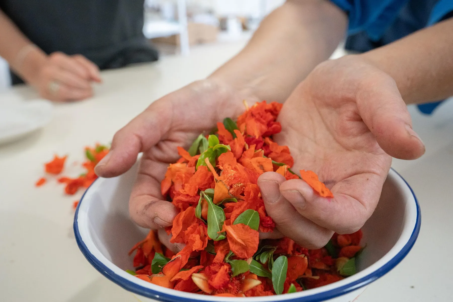 Fabriquez vos encres aquarelles végétales au fil des saisons en duo avec votre enfant accompagnés par Sandrine - Image n°3 - Wecandoo