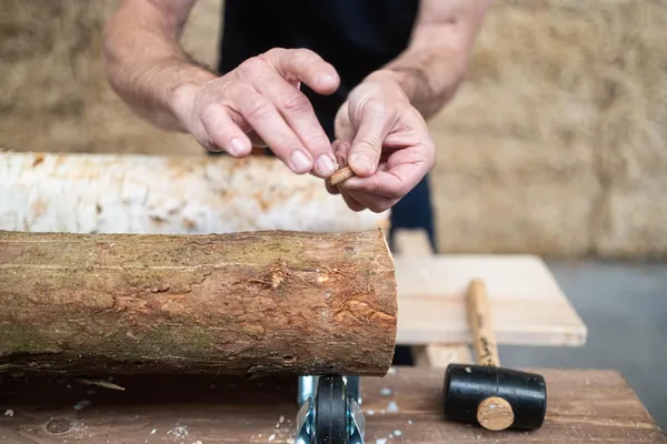 Initiez-vous à la culture de champignons avec Gwendal - Afbeelding nr. 1 - Wecandoo