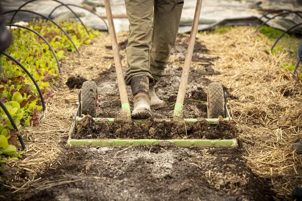 Initiez-vous à la lacto-fermentation avec Aymeric à Belleville-en-Beaujolais - Image n°5 - Wecandoo