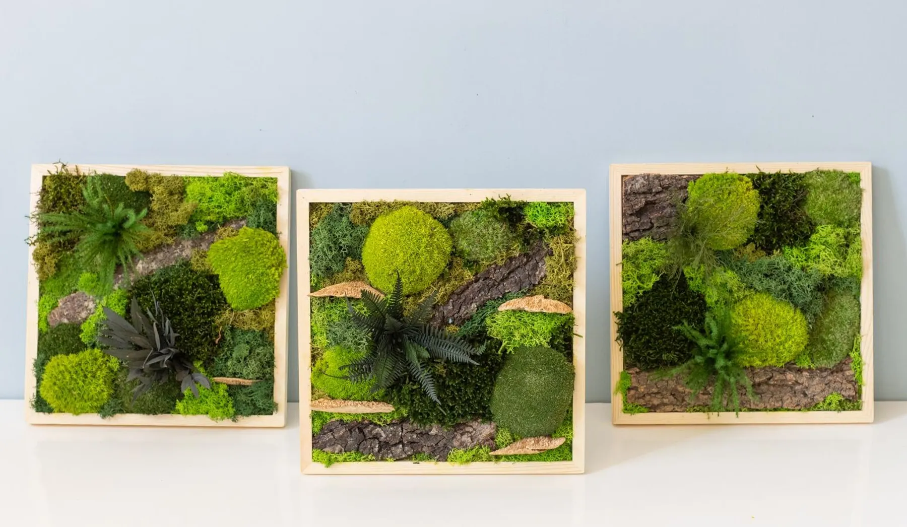 Réalisez votre cadre végétal avec Iris - Image n°1 - Wecandoo