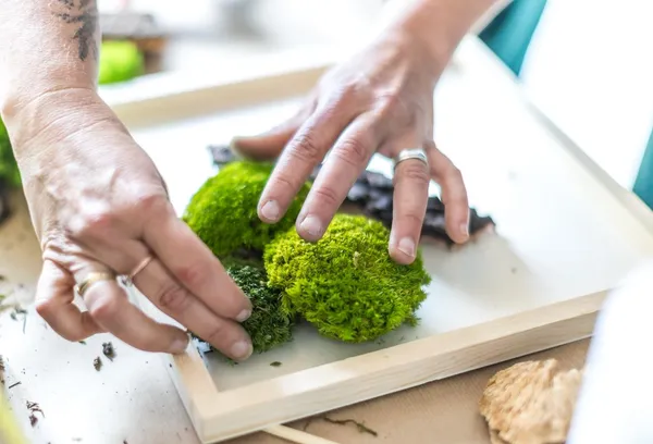 Réalisez votre cadre végétal avec Iris - Image n°2 - Wecandoo