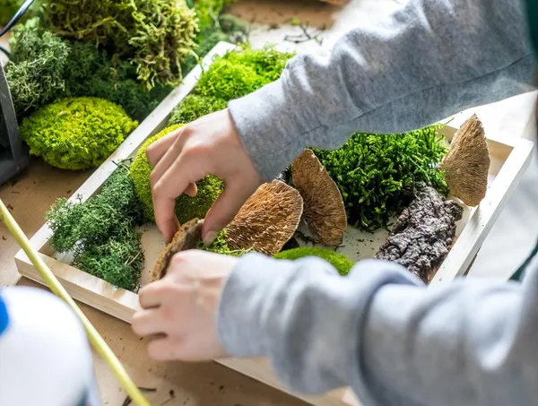 Réalisez votre cadre végétal avec Iris - Image n°4 - Wecandoo