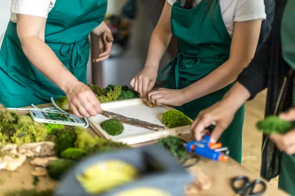 Réunissez votre équipe et réalisez vos cadres végétaux avec Iris - Image n°2 - Wecandoo