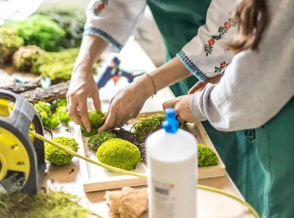 Réunissez votre équipe et réalisez vos cadres végétaux avec Iris - Image n°4 - Wecandoo