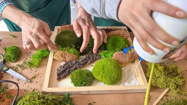 Réunissez votre équipe et réalisez vos cadres végétaux avec Iris - Image n°3 - Wecandoo