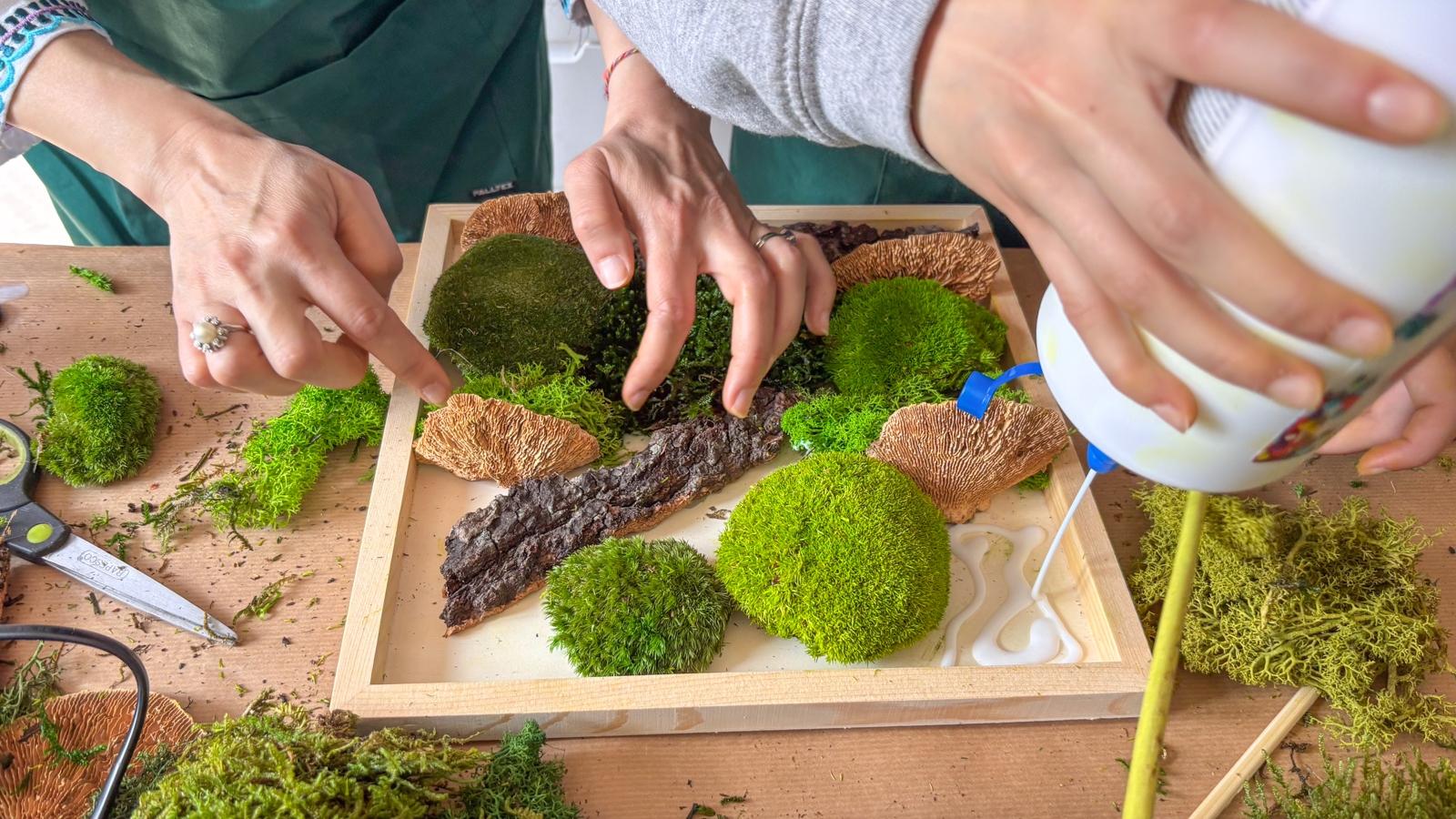 Réalisez vos cadres végétaux en équipe