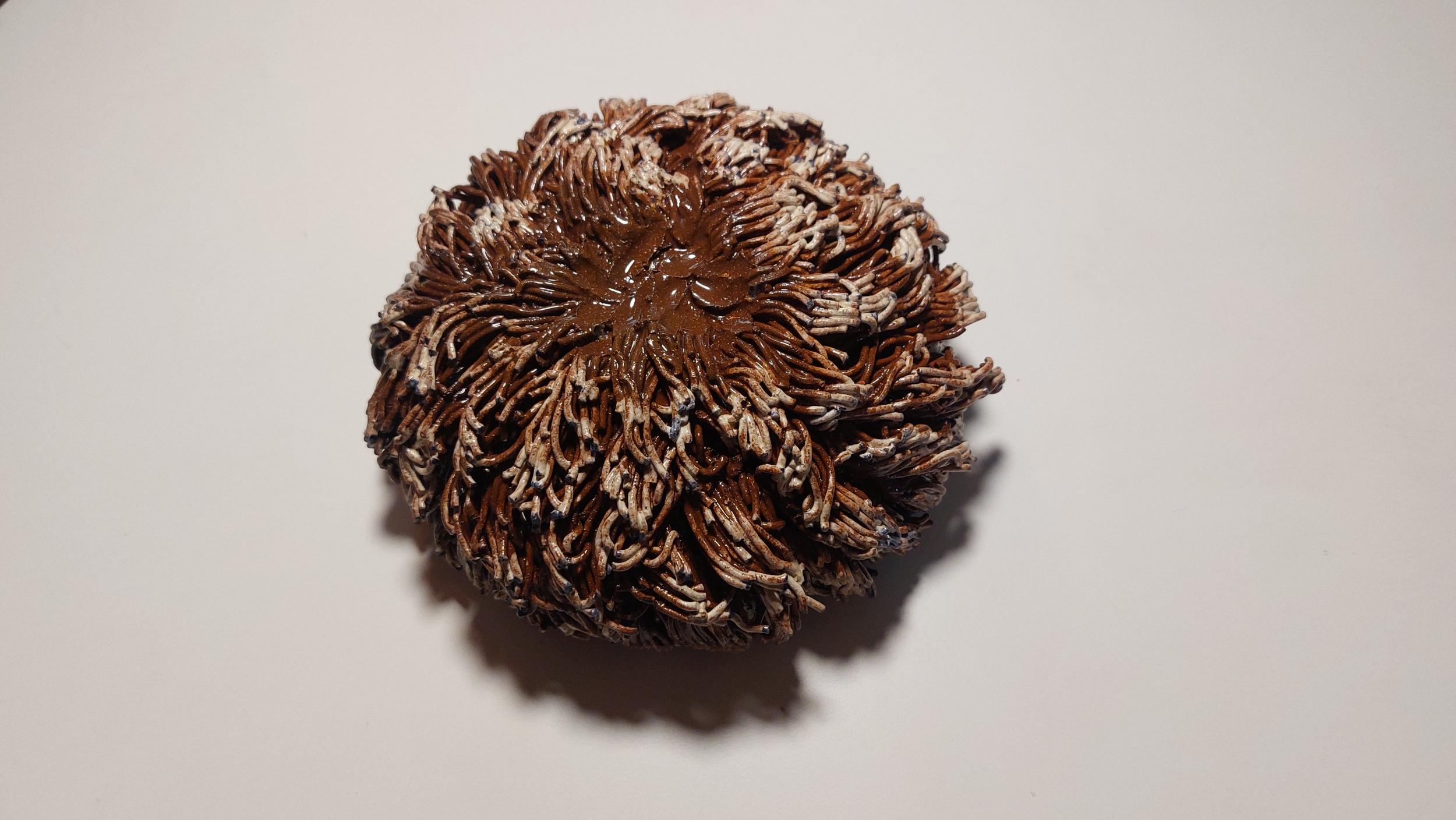 Modelez et sculptez votre bol en céramique avec Véronique - Image n°9 - Wecandoo