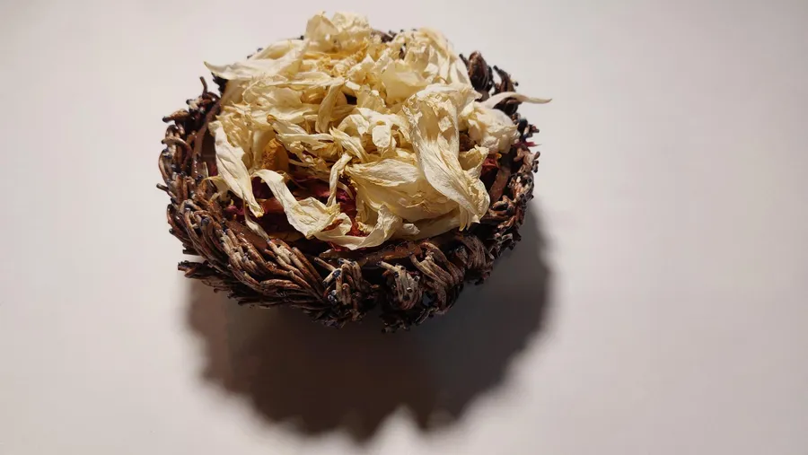 Modelez et sculptez votre bol en céramique avec Véronique - Afbeelding nr. 1 - Wecandoo