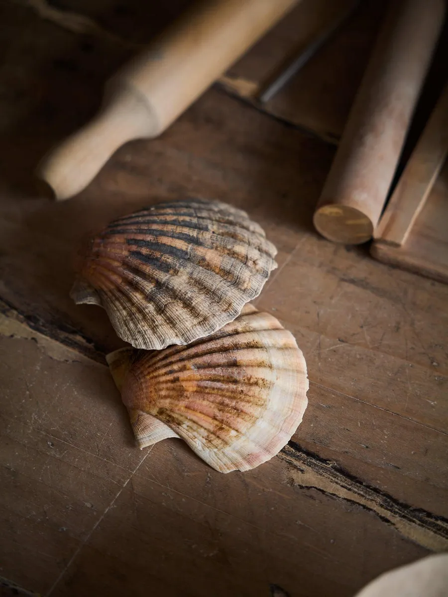 Modelez votre coupelle coquille Saint-Jacques avec Claire à Saint-Malo - Image n°1 - Wecandoo