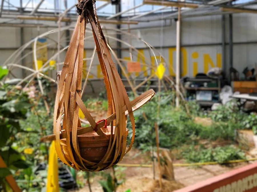 Initiez-vous à la vannerie de bambou avec Ivan - Afbeelding nr. 1 - Wecandoo