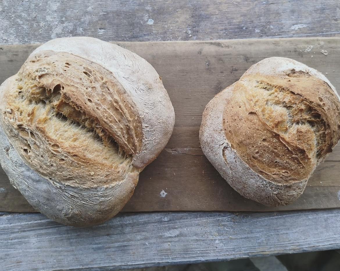 Réalisez vos pains au levain dans une ferme avec Cassandre - Image n°1 - Wecandoo