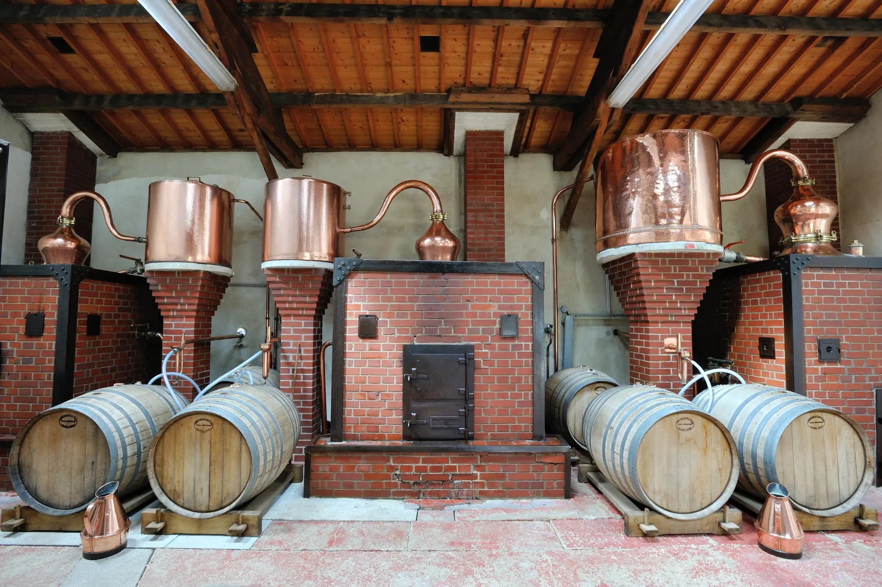 Découvrez le calvados avec Estelle - Image n°3 - Wecandoo