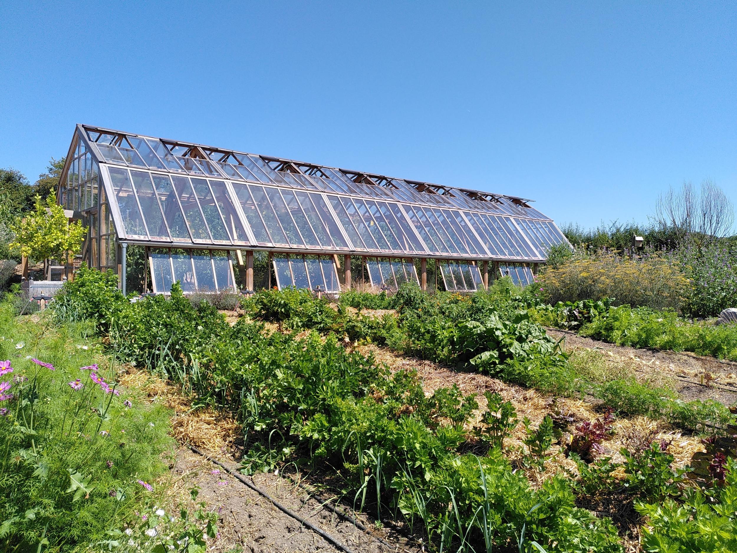 Visitez une forêt comestible en permaculture avec Ophélie - Image n°9 - Wecandoo