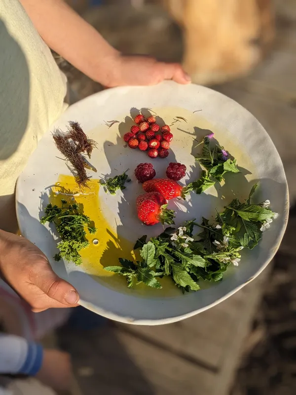 Visitez une forêt comestible en permaculture avec Ophélie - Image n°5 - Wecandoo