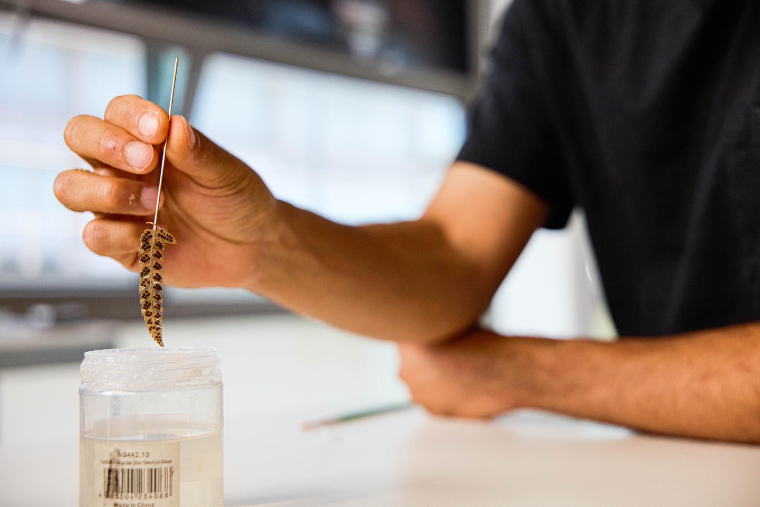 Créez vos bijoux grâce à la magie de la galvanoplastie avec Xavier à Paris - Image n°9 - Wecandoo