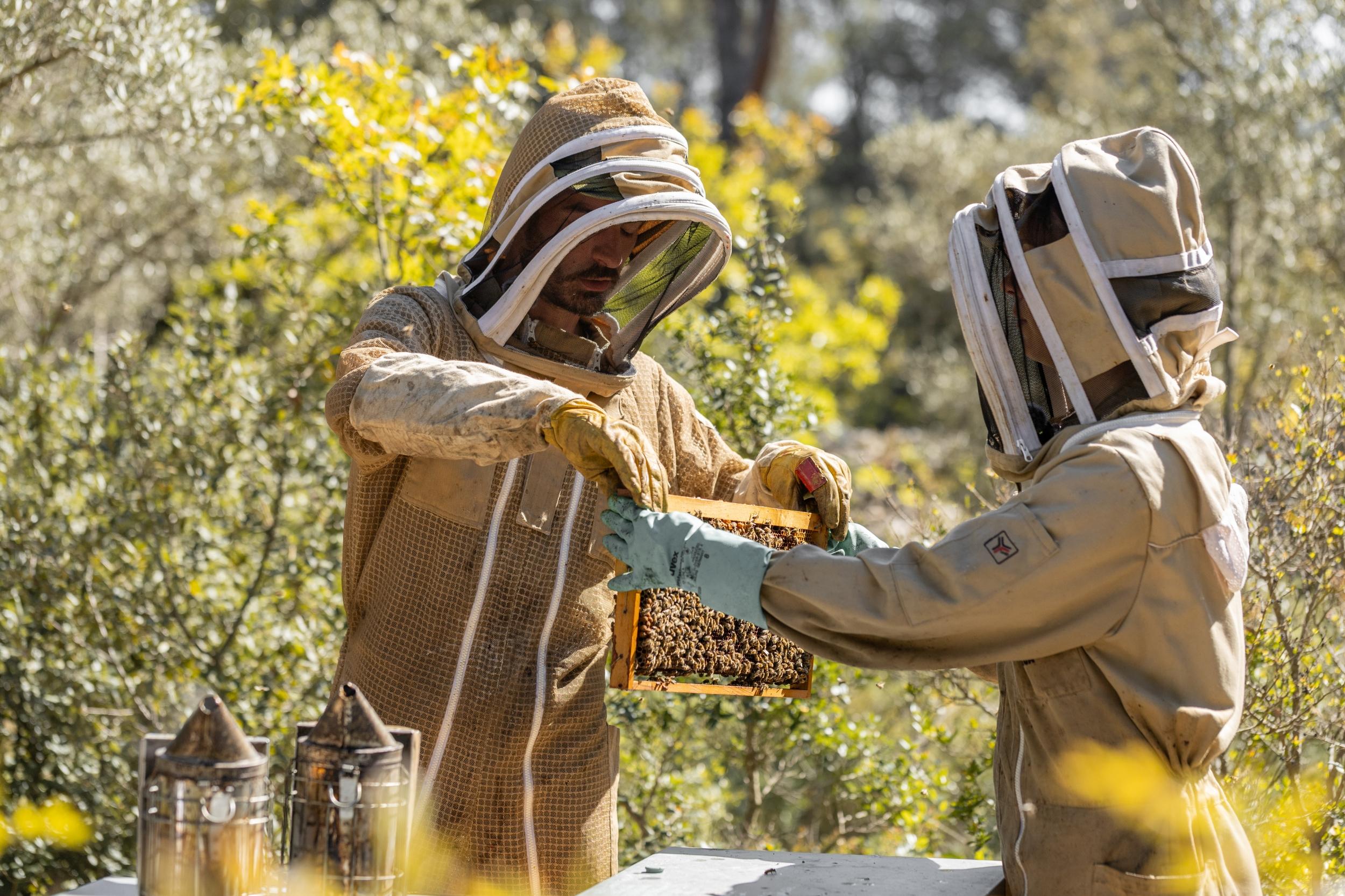 Initiez-vous à l'apiculture avec Caroline à Aix-en-Provence - Image n°4 - Wecandoo