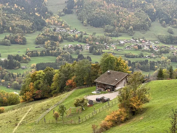 Visitez une torréfaction artisanale au cœur des Alpes - Image n°4 - Wecandoo