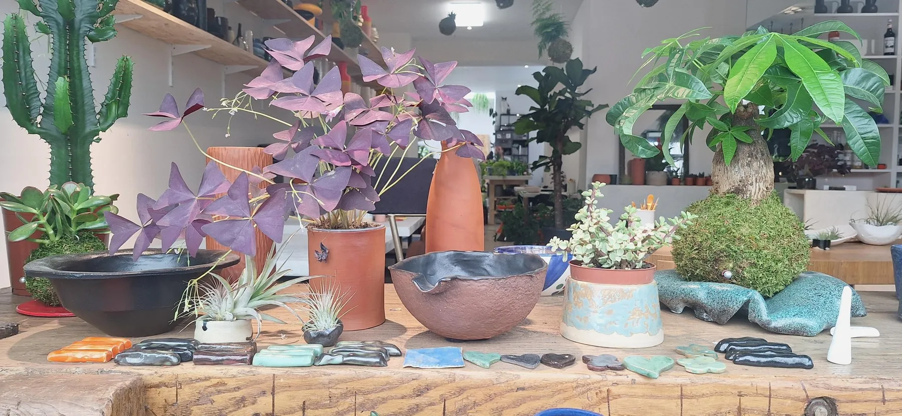 Initiez-vous à la peinture sur céramique avec San et son équipe - Image n°3 - Wecandoo