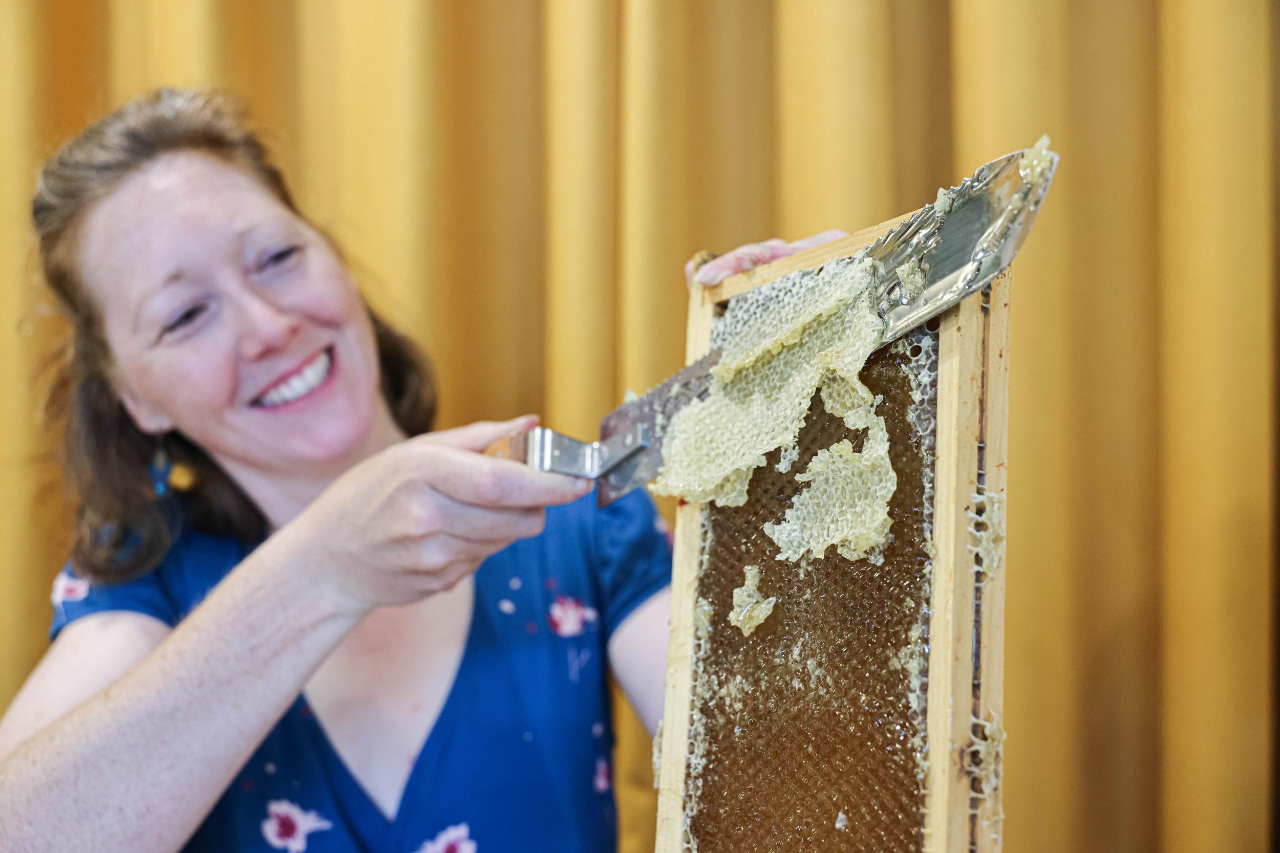 Initiez-vous à l’extraction du miel