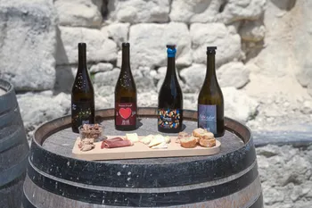 Dégustez huit vins dans une cave troglodyte