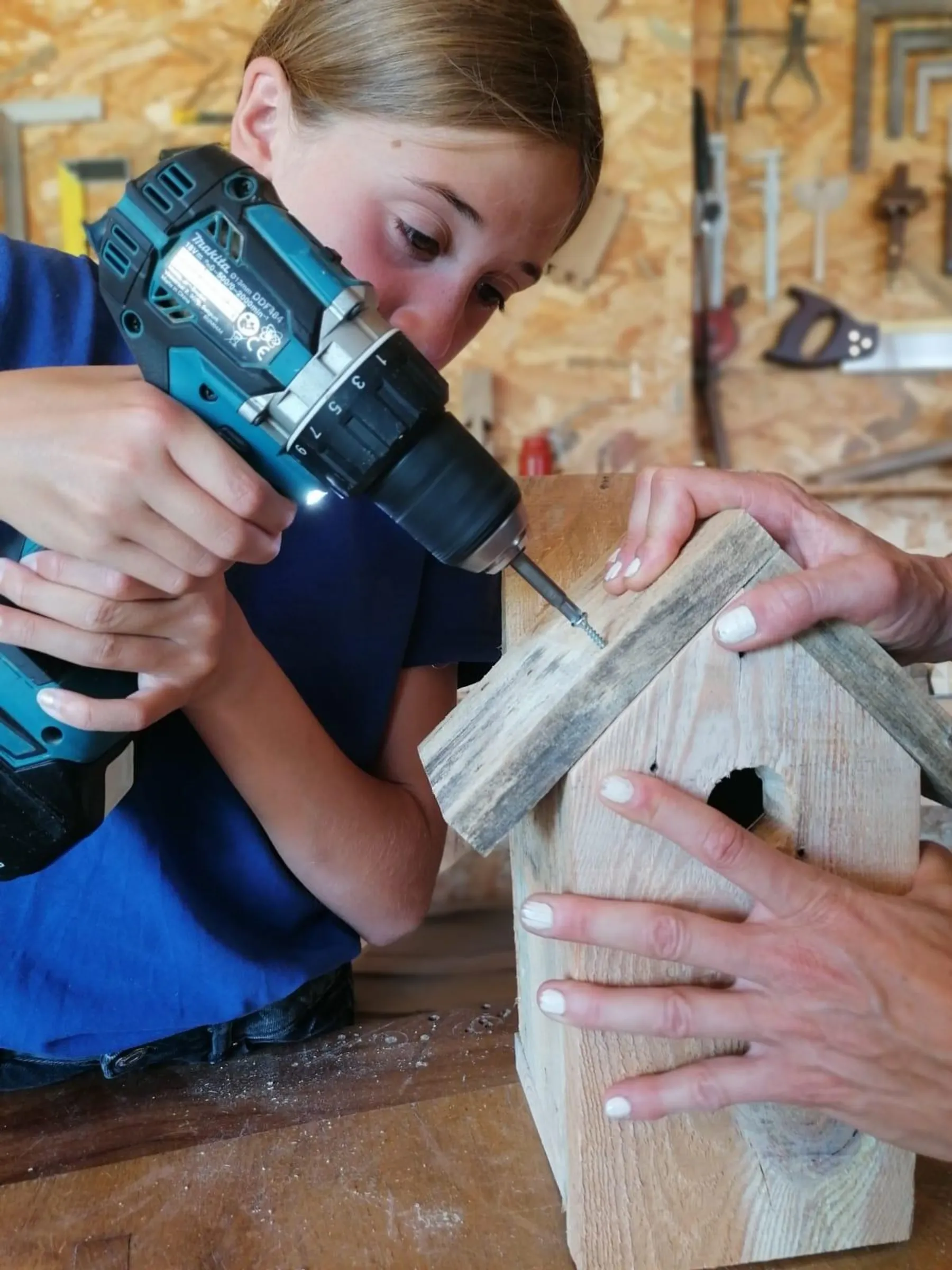 Réalisez votre nichoir en duo avec votre enfant accompagnés par Delphine - Image n°3 - Wecandoo