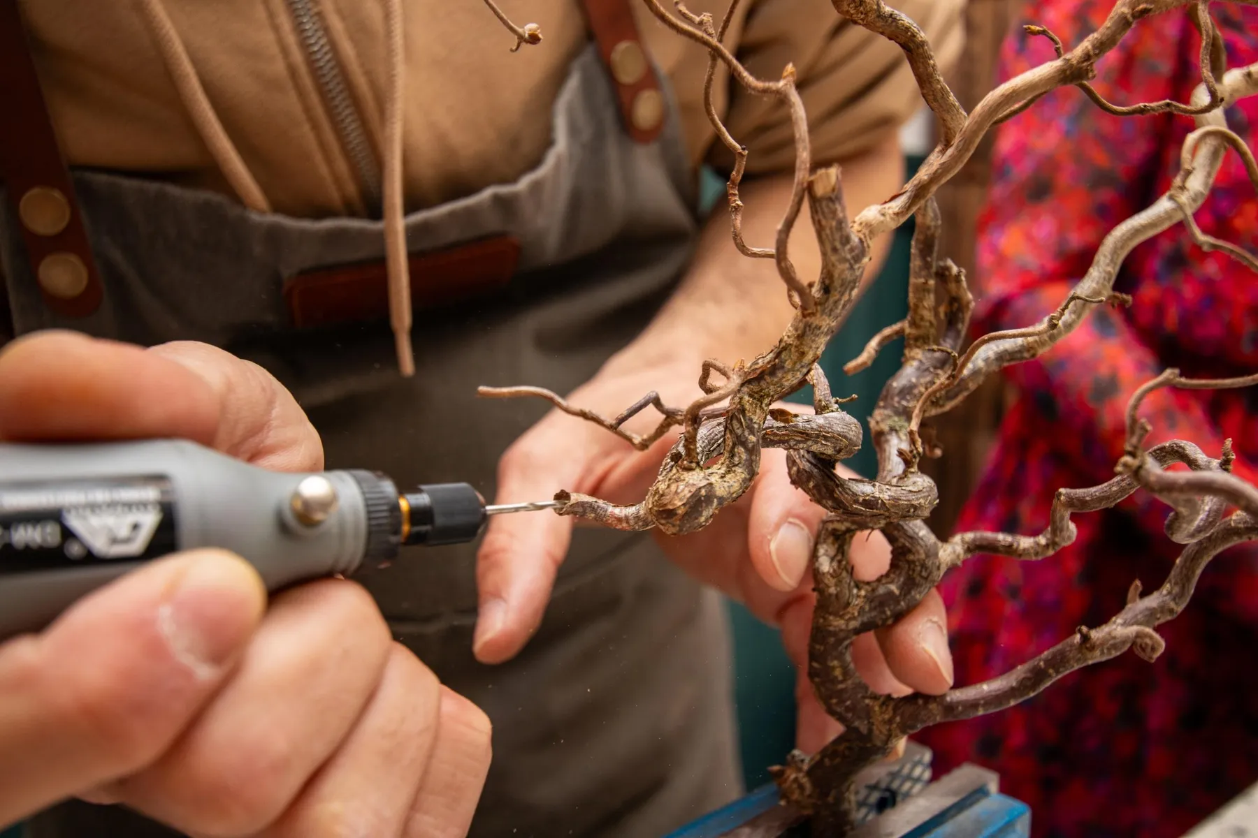 Réalisez un bonsaï éternel avec Ivan - Image n°3 - Wecandoo