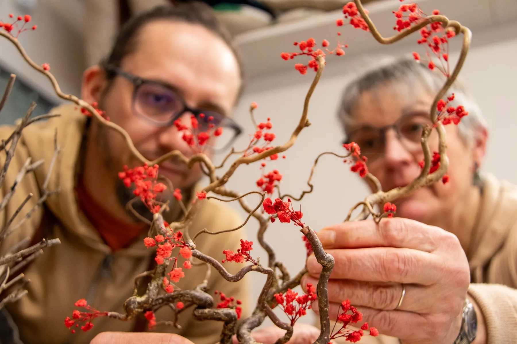 Réalisez un bonsaï éternel avec Ivan - Image n°4 - Wecandoo