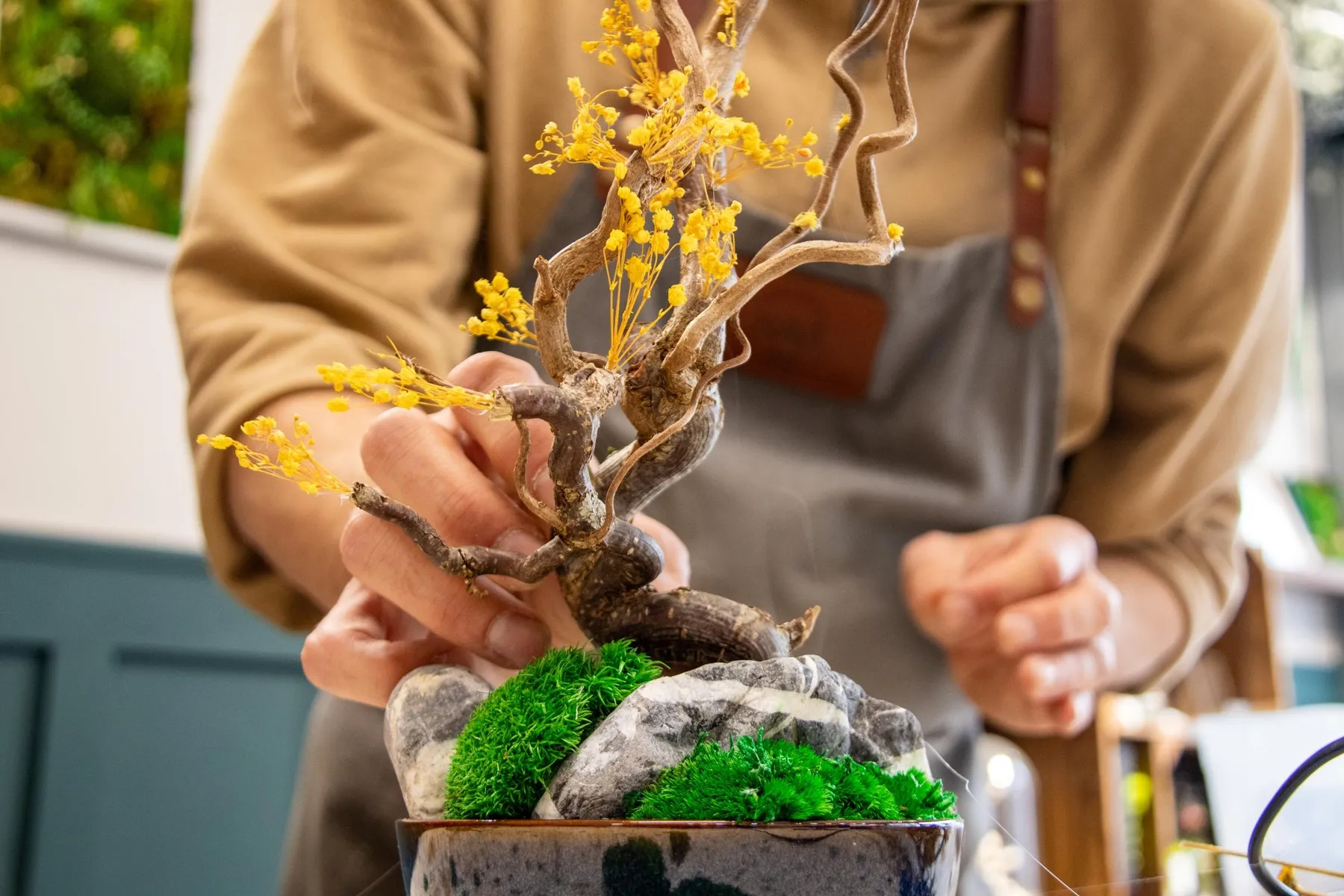 Réalisez un bonsaï éternel avec Ivan - Image n°5 - Wecandoo