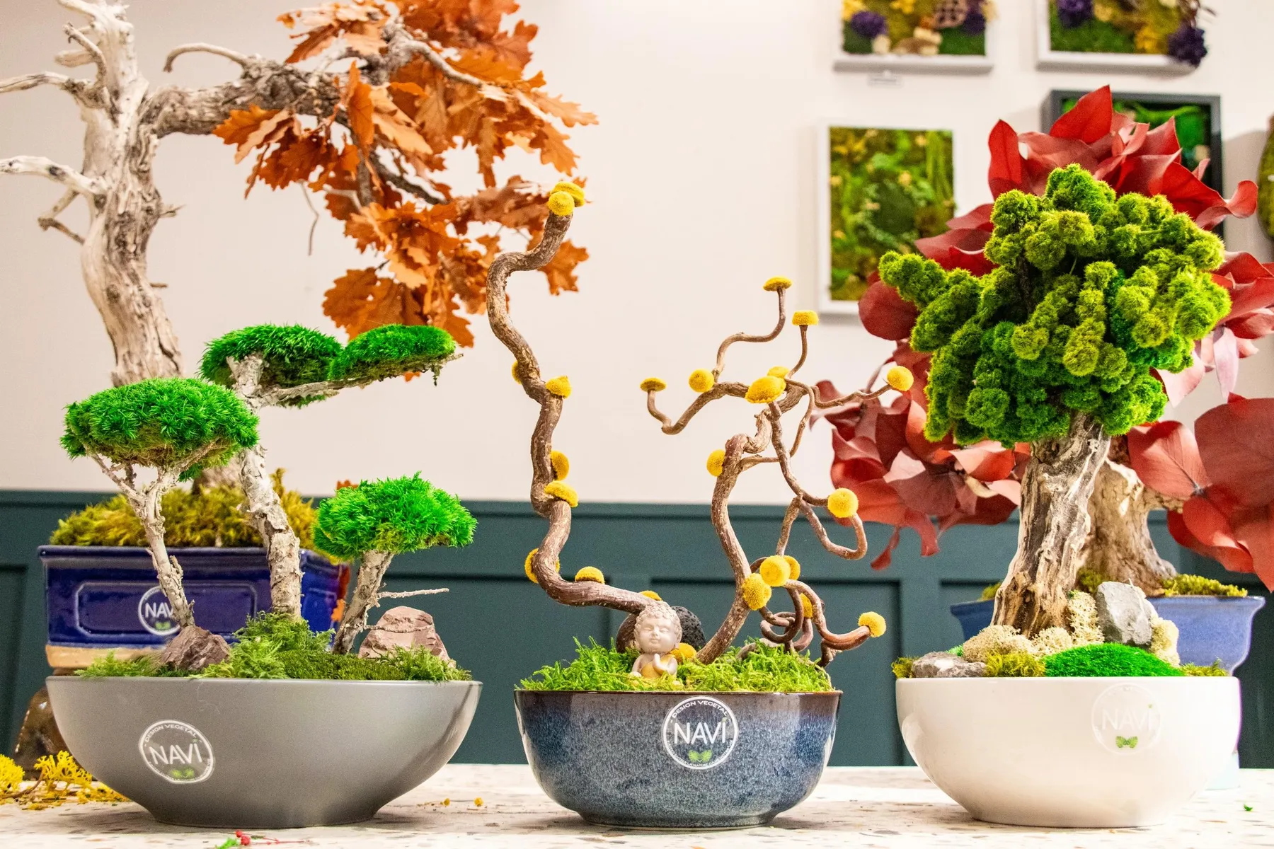 Réalisez un bonsaï éternel avec Ivan - Image n°1 - Wecandoo