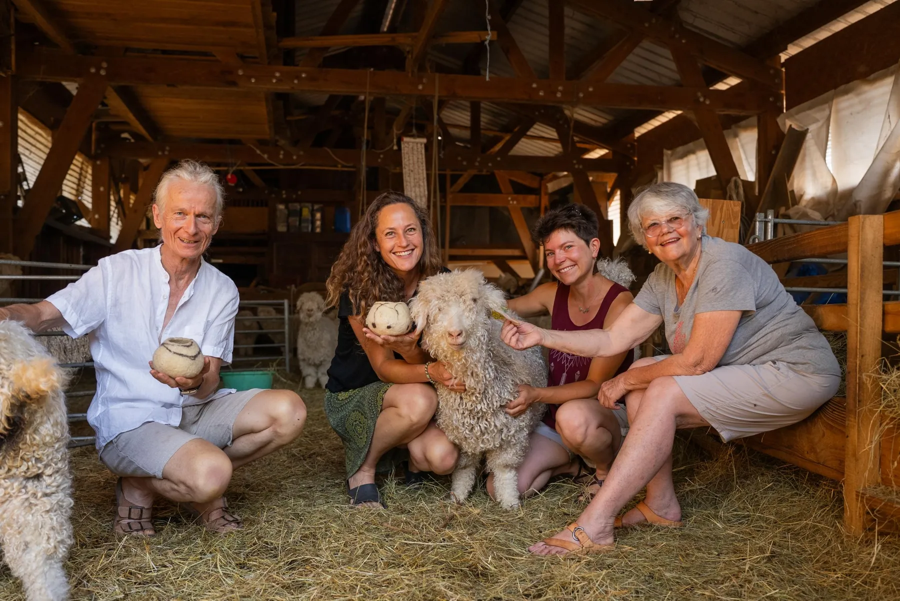 Transformez la laine en direct de la ferme avec Claire - Image n°5 - Wecandoo