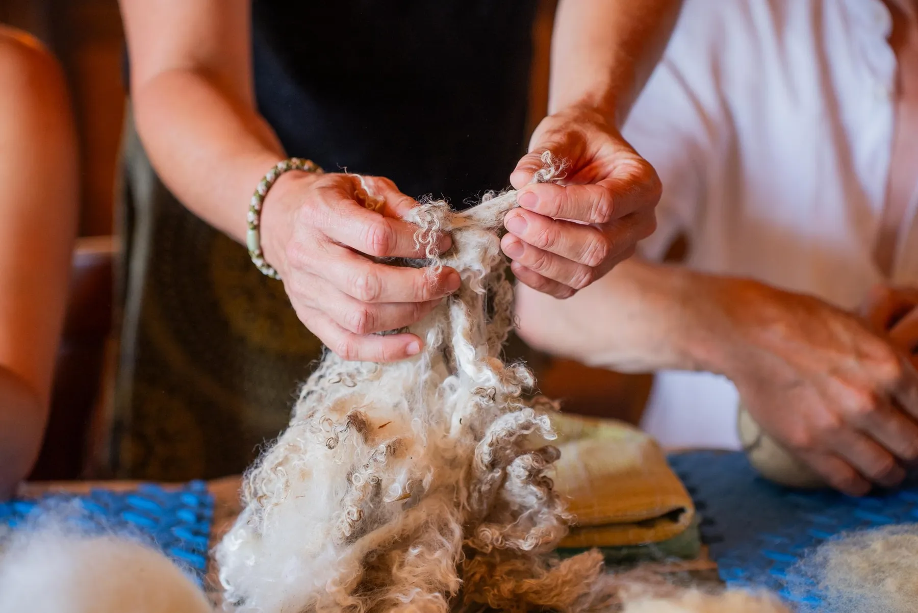 Transformez la laine en direct de la ferme avec Claire - Image n°4 - Wecandoo