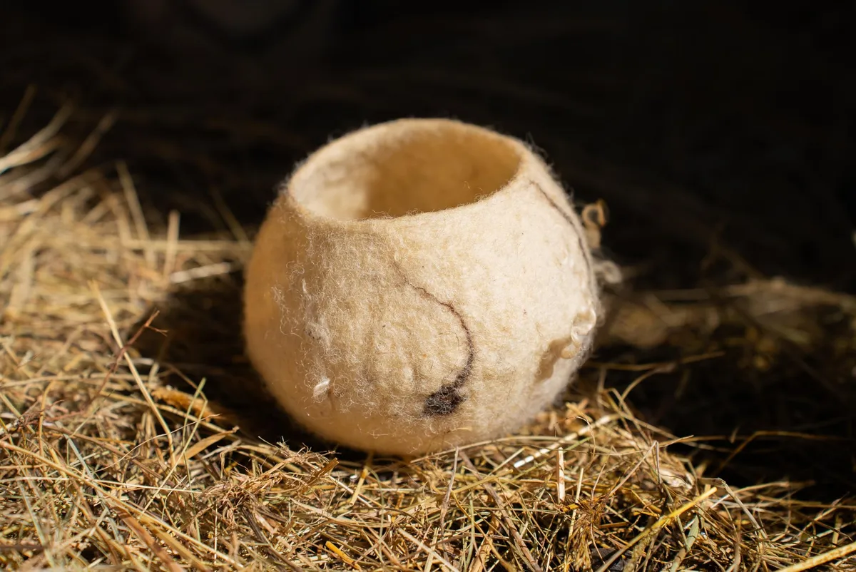 Transformez la laine en direct de la ferme