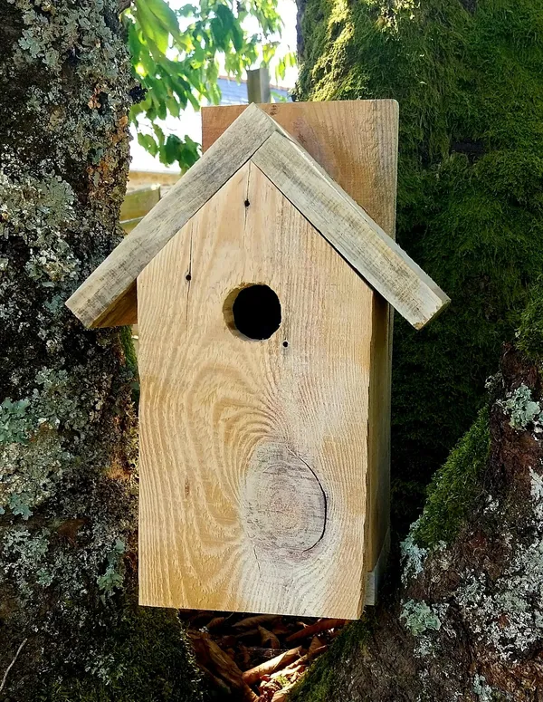 Réalisez votre nichoir en duo avec votre enfant accompagnés par Delphine - Afbeelding nr. 5 - Wecandoo