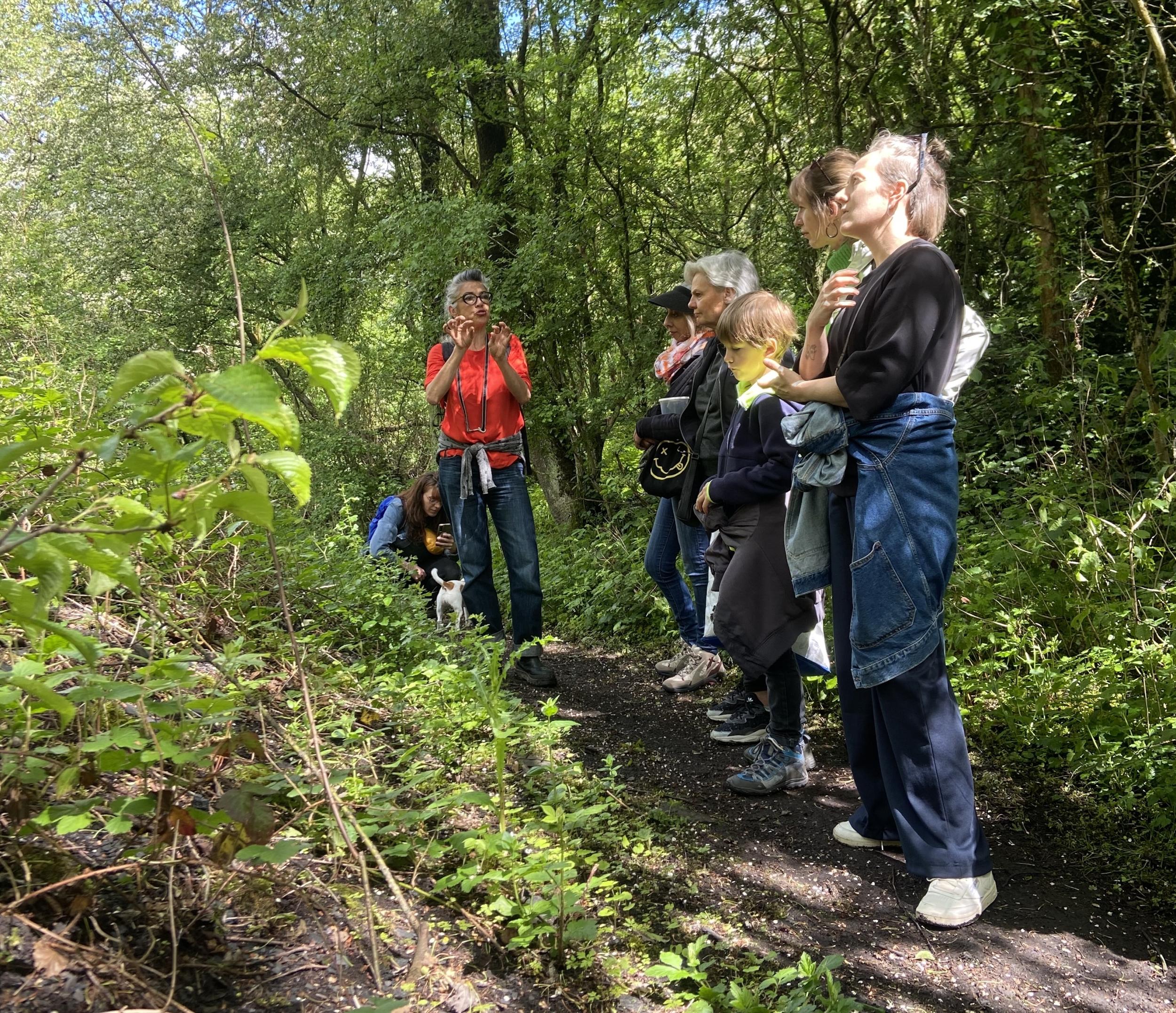 Créez votre terrarium après une balade dans la nature avec Marta Mo - Image n°4 - Wecandoo
