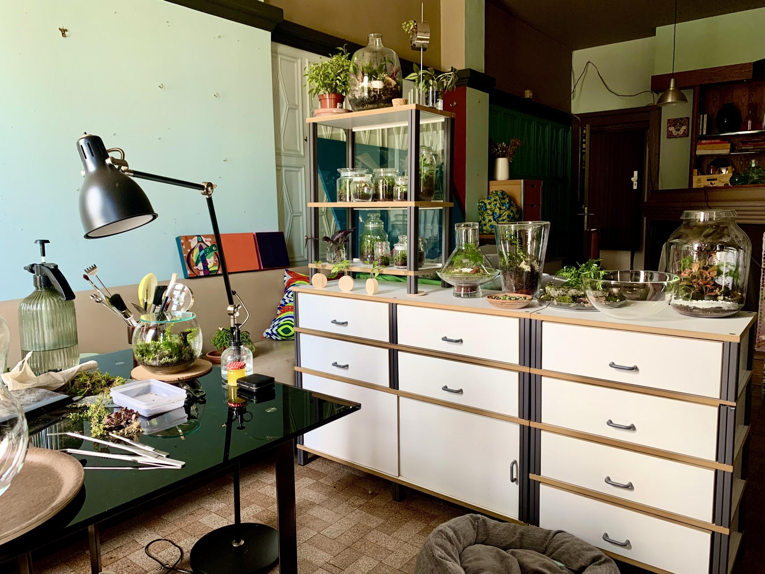 Créez votre terrarium après une balade dans la nature avec Marta Mo - Image n°9 - Wecandoo