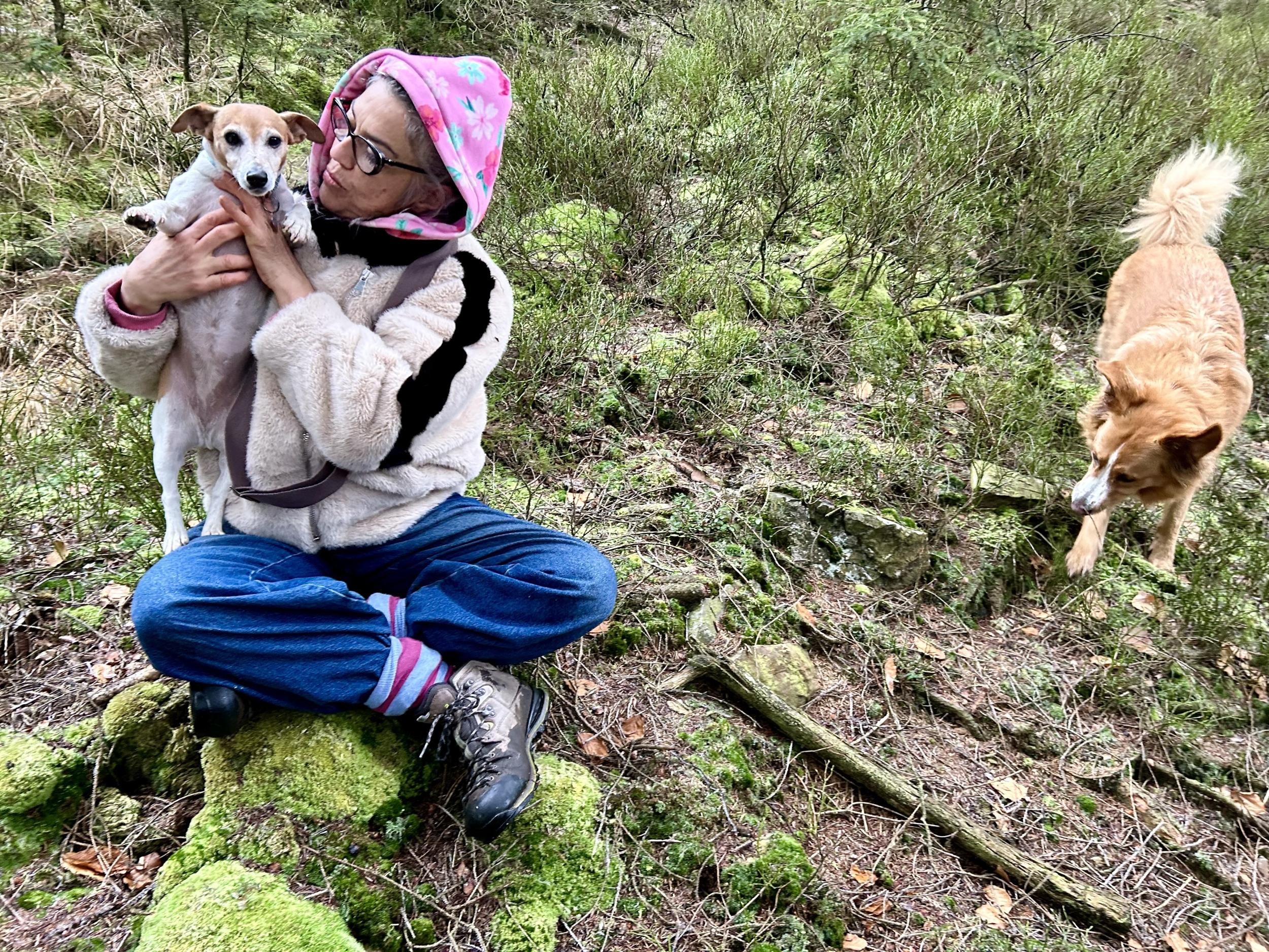 Créez votre terrarium après une balade dans la nature avec Marta Mo - Image n°6 - Wecandoo